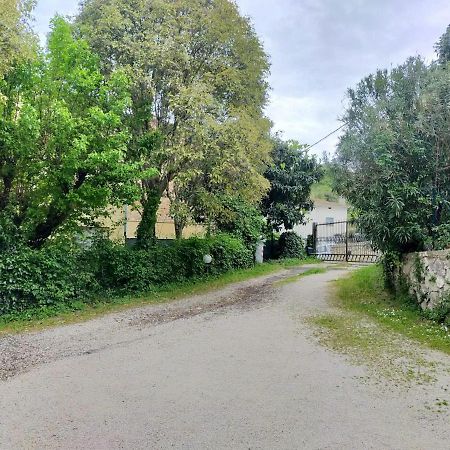 Casina Gentili Lejlighed Perugia Eksteriør billede